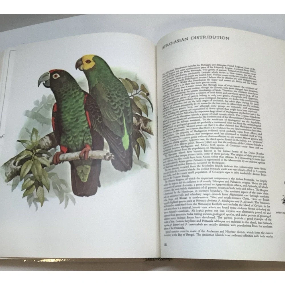 Parrots of the World by Joseph Michael Forshaw (1977, Hardcover)